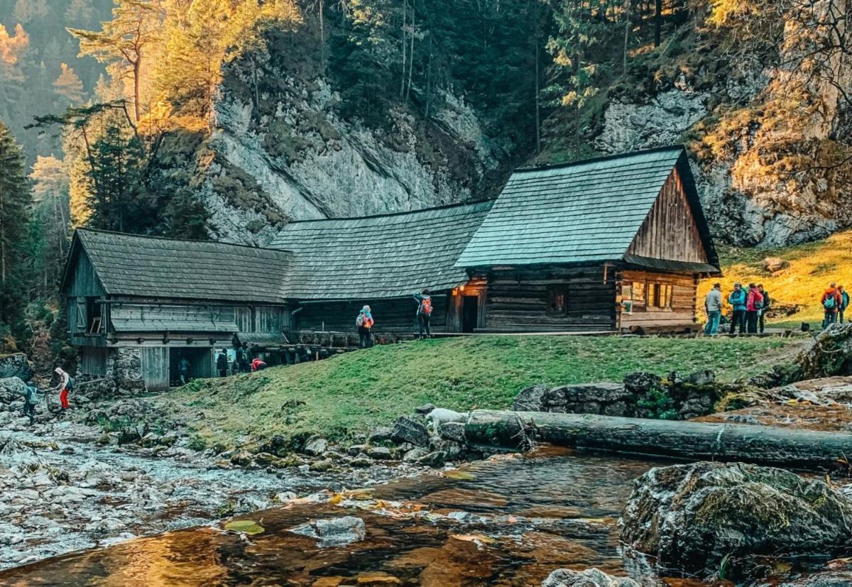 Prazdninove Byty U Kamarata Habovka Eksteriør bilde